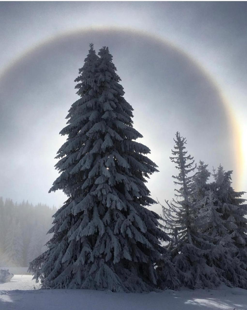 Silver Mountain Milmari Kopaonik Buitenkant foto