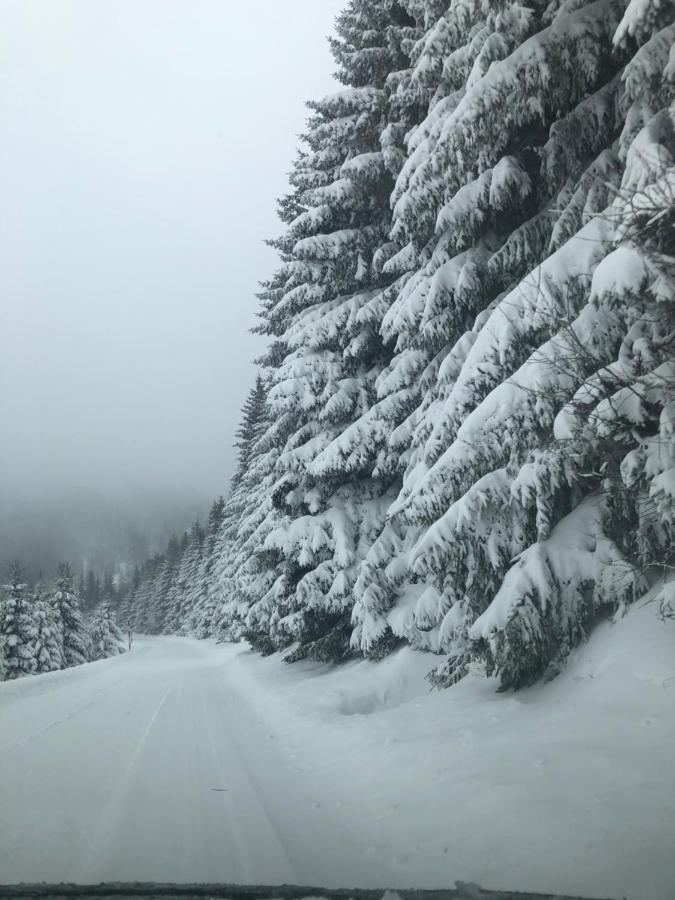 Silver Mountain Milmari Kopaonik Buitenkant foto